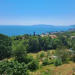 Marini *