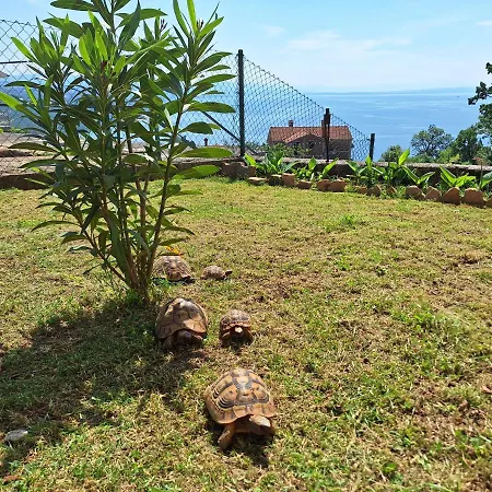 Marini Apartman Abbázia