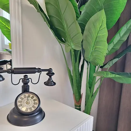 Marini أوباتيا