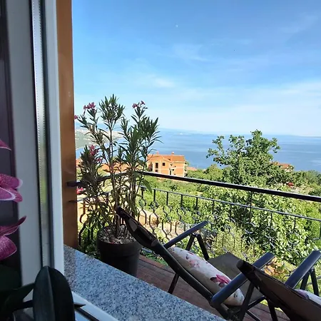 Marini * أوباتيا